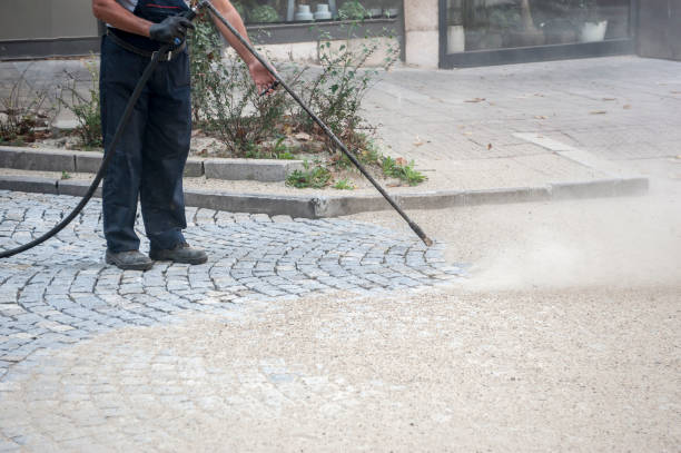 Best Sidewalk and Walkway Cleaning  in Alton, TX