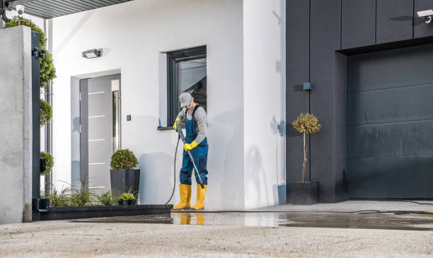 Best Dumpster Area Cleaning  in Alton, TX